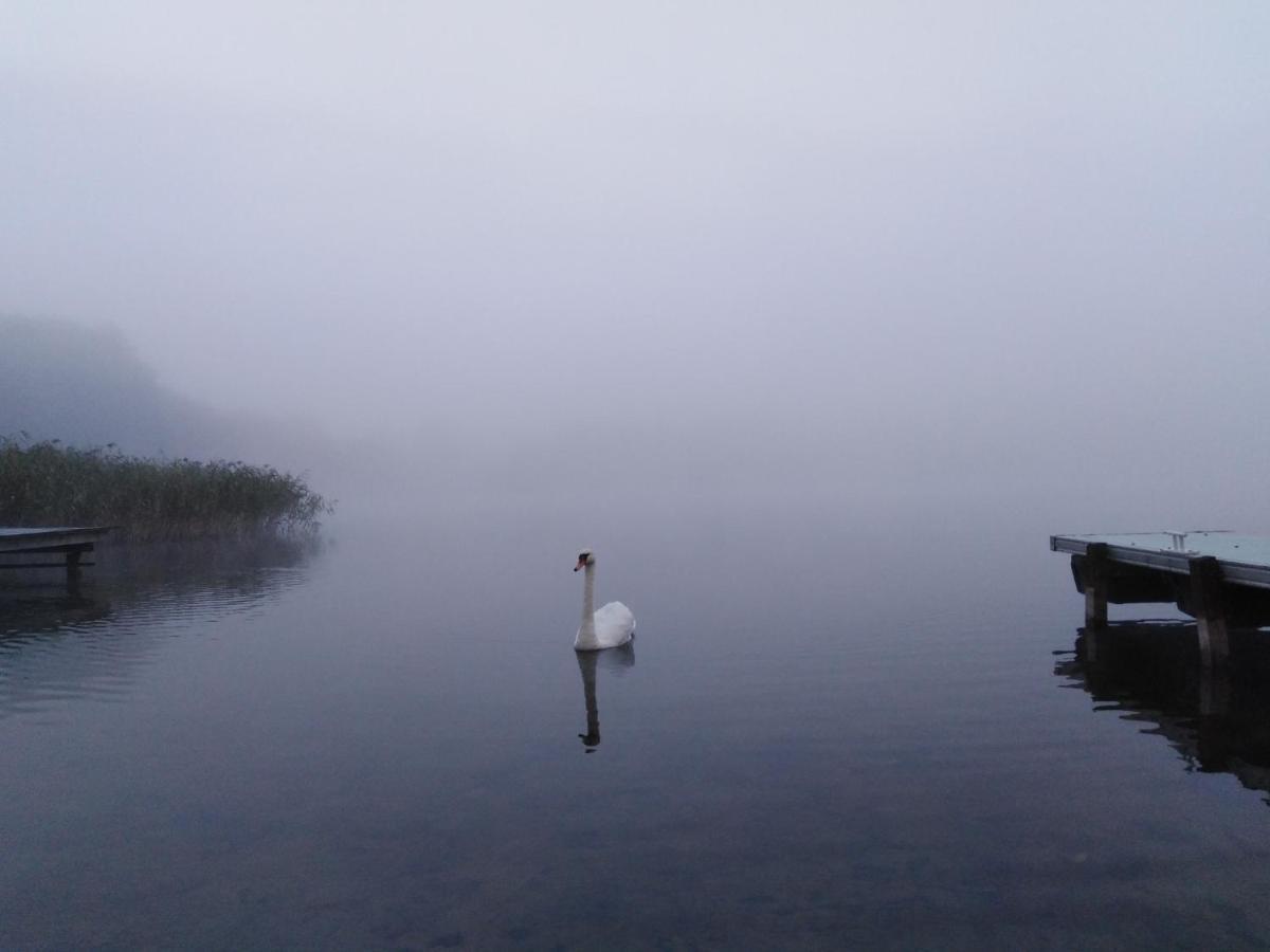 Alte Schule Am See Бискупиец Екстериор снимка